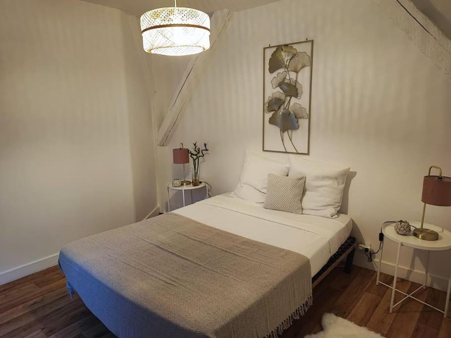 Magnifique Appartement Beaux Arts تور المظهر الخارجي الصورة